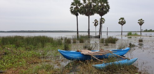 Sri lankan canoe parked in lake