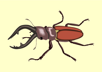 bug