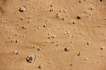 Sand of the Sahara and footprints in the sand