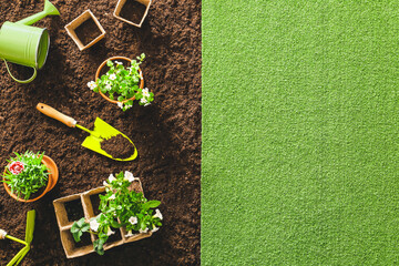 Supplies for gardening with plants, top view