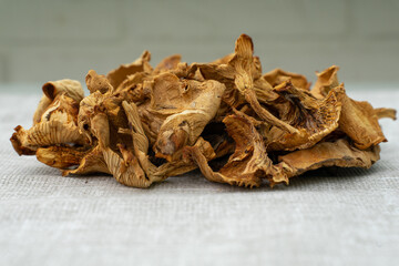 dried mushrooms on coarse tissue