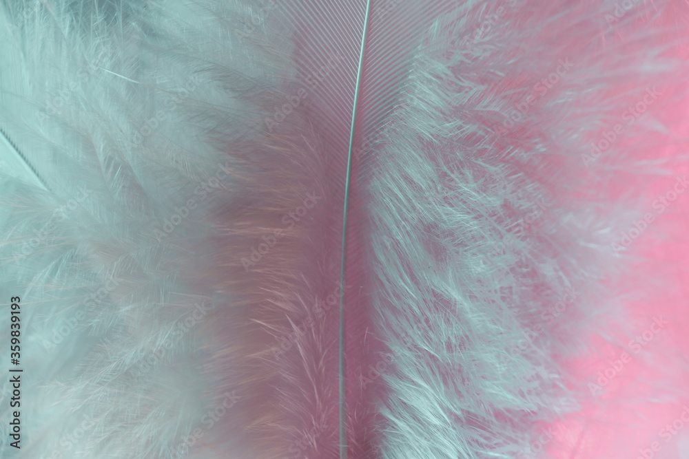 Aufkleber Exotic texture feathers background close up. Soft feathers pattern for your design. Macro photography view.