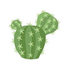 Cactus and succulent colorful cartoon vector illustration. Decorative flower plant. Isolated icon cacti