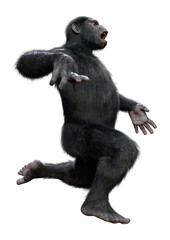 Fototapeta premium 3D Rendering Chimpanzee on White