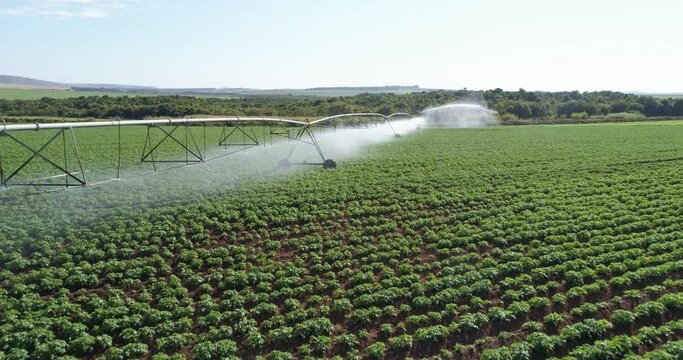 Agricultural irrigation system on sunny summer day. An aerial view of a center pivot sprinkler system. 4K.