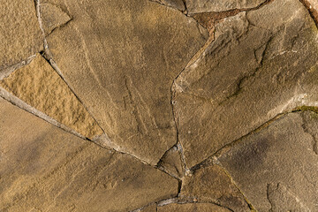 cracked stone background with dark brown lines; uneven and weathered base