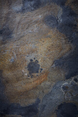 Dark stone or slate background. Top view. Copy space. 