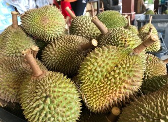 durian at the market