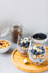 Chia pudding with granola and fresh blueberries in the glasses on a gray concrete background. Concept of healthy eating, healthy lifestyle, dieting, fitness menu. Selective focus. High quality photo