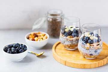 Chia pudding with granola and fresh blueberries in the glasses on a gray concrete background. Concept of healthy eating, healthy lifestyle, dieting, fitness menu. Selective focus. High quality photo