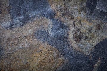 Dark stone or slate background. Top view. Copy space. 