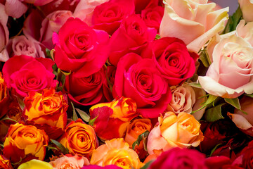 Close up of a bouquet of assorted roses variety, studio shot, colorful flowers