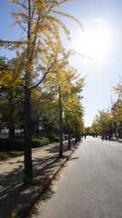 Parks in Osaka with autumn foliage