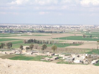 Obraz premium Plain field