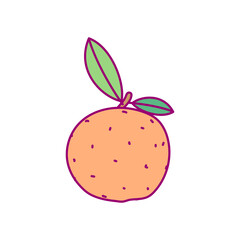 vector cute drawn fruit clip art citrus