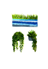 Set of house plants in pots.Potter plants,blue pots isolated on white background.