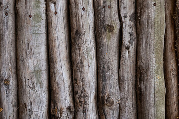 wooden log background gray and knotted vertical trunk pattern