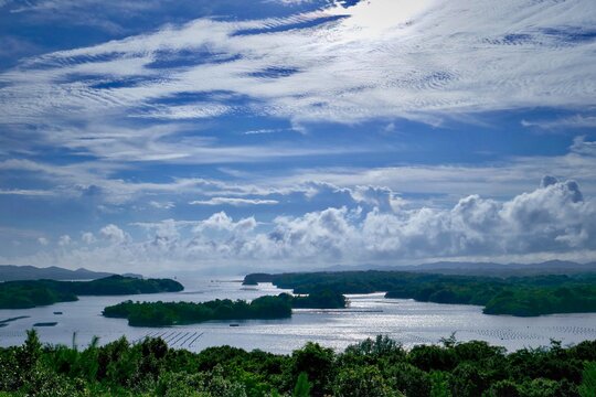 Landscap_S5