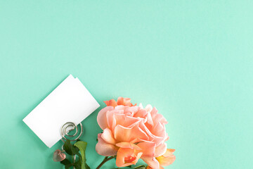 mockup business cards on a colored background and a rose flower, copyspace, topview.