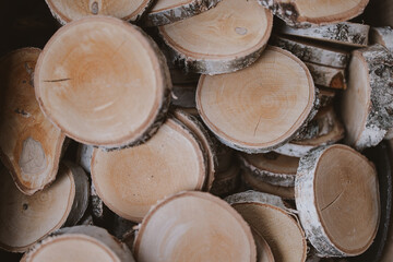 background from birch trunk cut into oval pieces