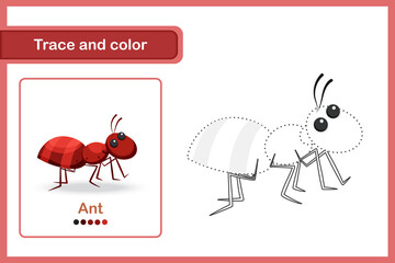 Drawing and vocabulary worksheet, Trace and colour : Ant