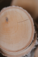 background from birch trunk cut into oval pieces