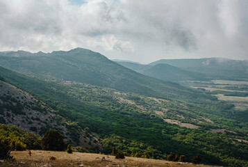 Fototapeta premium forge on the slopes of the summer mountains