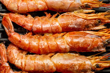 king prawns big pink stacked in a horizontal row vertical photo close-up