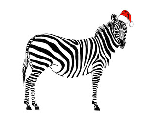 Fototapeta na wymiar Graphical zebra in Santa Claus hat isolated on white background,vector new year illustration