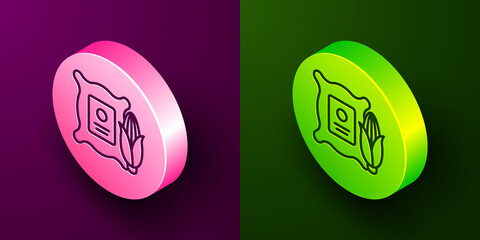 Isometric line Corn in the sack icon isolated on purple and green background. Corn in a canvas bag. Farmers market. Circle button. Vector Illustration.