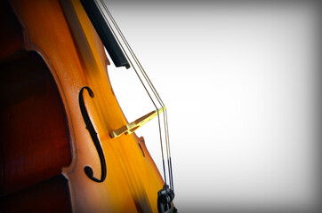 Сello on a white background. Close-up of a classic cello deck on top with c-rib, strings, bridge and f-holes. © DVAO