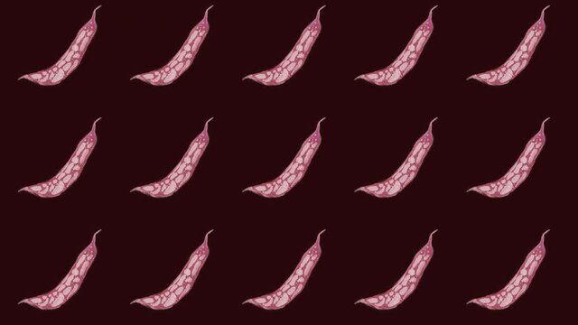 animated Cranberry bean pattern, ideal footage for themes such as cooking and vegeterian recipes