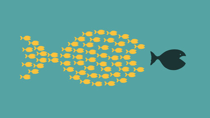 group of small fishes hunting a big fish