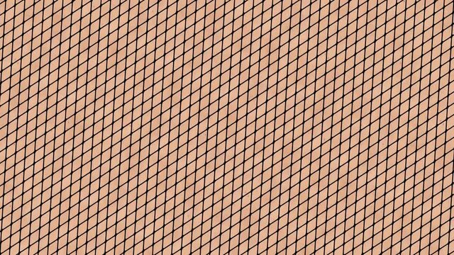 Fishnet and skin texture effect rotating in a seamless loop