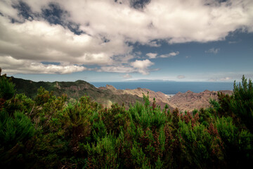 Fototapeta na wymiar Tenerife north 