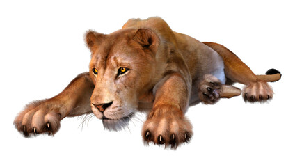 3D Rendering Female Lion on White