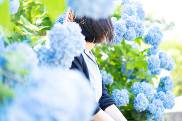 紫陽花と女性