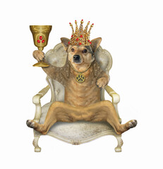 The beige dog king in a golden crown is sitting in the antique wooden armchair and drinking wine...