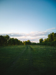road through a green summer field under a blue sky