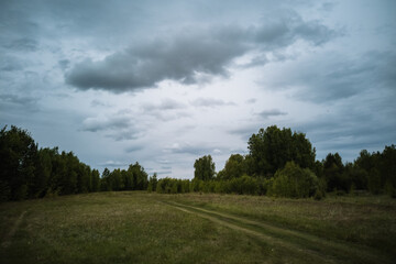 clouds over the forest and meadow