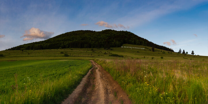 Countryside at sunset Sumuleu (Csiksomlyo), Miercurea Ciuc, Harghita county, Romania