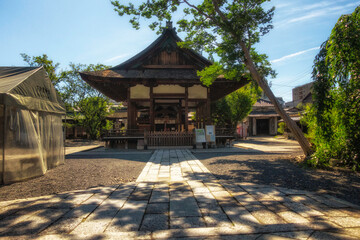 Naklejka premium 京都、下御霊神社の拝殿と境内の様子です
