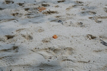 stones on the sand