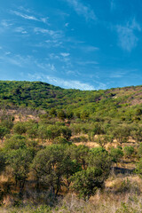 Naklejka premium mountain landscape with blue sky and clouds