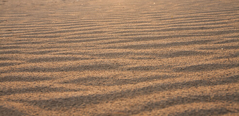 sand ripples in the wind