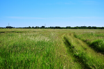 road primer in the field where cows and sheep graze in the middle of the grass