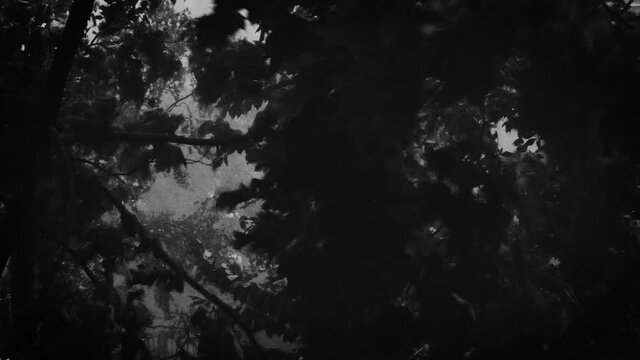 A powerful and gloomy thunderstorm outside the window.	 black and white