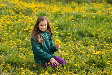 Naklejka na ściany i meble Little Girl With Bouquet Of Dandelions, In Grass With Blooming Dandelions In Spring.