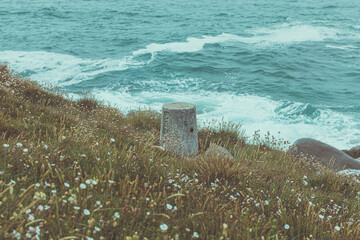 field of flowers on the atlantic coast with sea waves