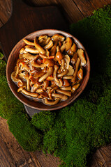A large clay bowl with wild mushrooms (honey mushrooms), stands on an old wooden table with green moss. Eco products, natural gathering